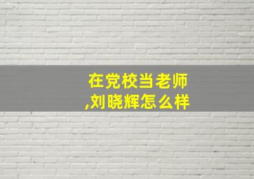 在党校当老师,刘晓辉怎么样