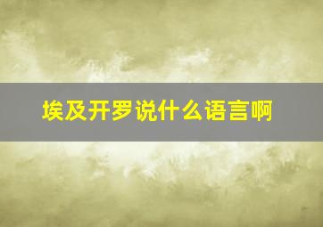 埃及开罗说什么语言啊