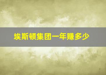 埃斯顿集团一年赚多少