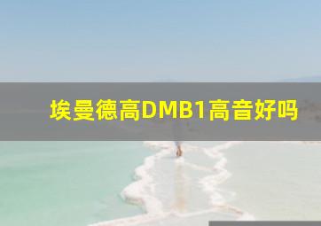 埃曼德高DMB1高音好吗