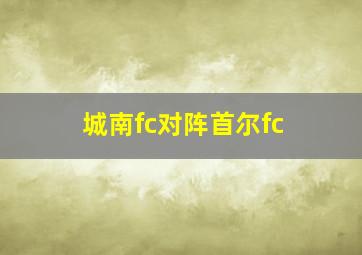 城南fc对阵首尔fc