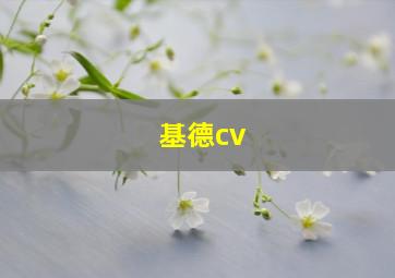 基德cv