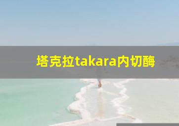 塔克拉takara内切酶