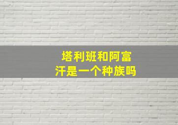 塔利班和阿富汗是一个种族吗