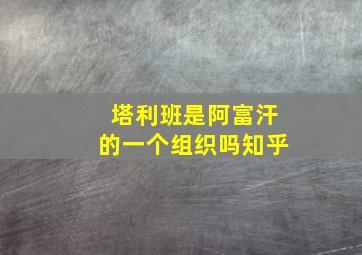 塔利班是阿富汗的一个组织吗知乎