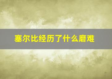 塞尔比经历了什么磨难