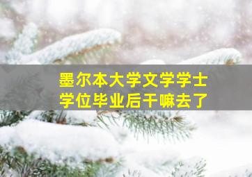 墨尔本大学文学学士学位毕业后干嘛去了