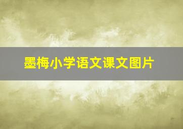 墨梅小学语文课文图片