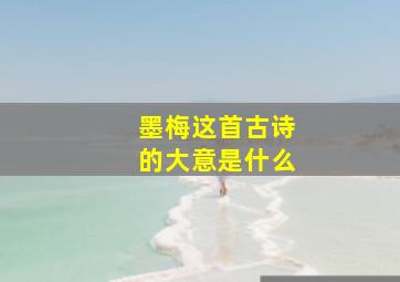 墨梅这首古诗的大意是什么