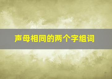 声母相同的两个字组词