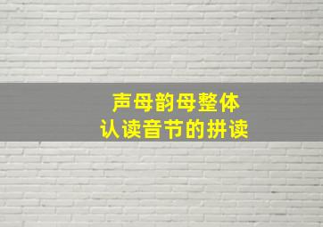 声母韵母整体认读音节的拼读