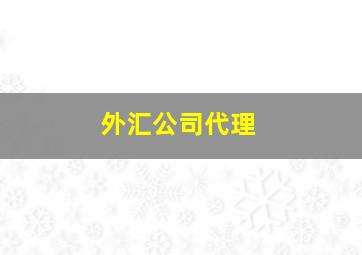 外汇公司代理