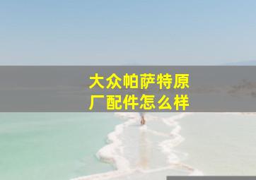 大众帕萨特原厂配件怎么样