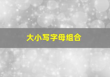 大小写字母组合