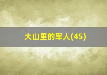 大山里的军人(45)