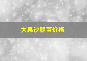 大果沙棘苗价格