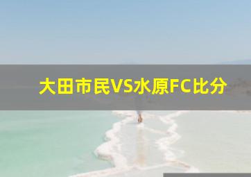 大田市民VS水原FC比分