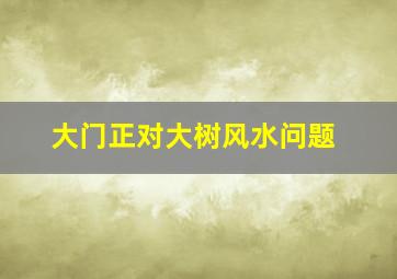 大门正对大树风水问题