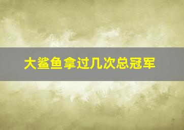 大鲨鱼拿过几次总冠军