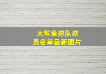 大鲨鱼球队球员名单最新图片