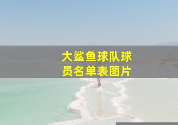 大鲨鱼球队球员名单表图片