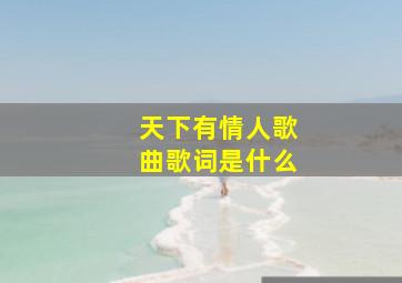 天下有情人歌曲歌词是什么