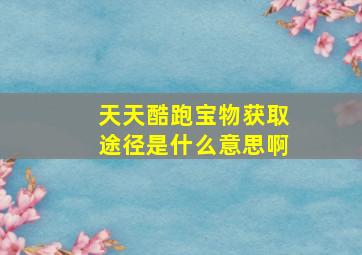 天天酷跑宝物获取途径是什么意思啊