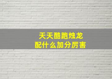 天天酷跑烛龙配什么加分厉害