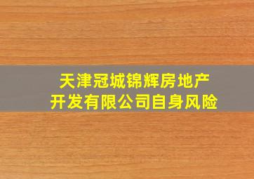 天津冠城锦辉房地产开发有限公司自身风险