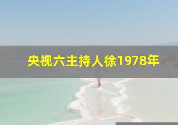 央视六主持人徐1978年