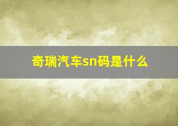 奇瑞汽车sn码是什么