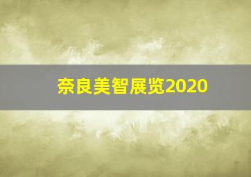 奈良美智展览2020