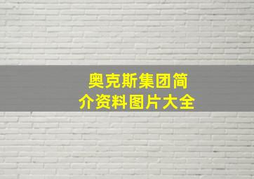 奥克斯集团简介资料图片大全