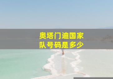 奥塔门迪国家队号码是多少