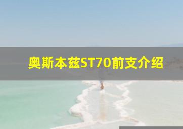 奥斯本兹ST70前支介绍