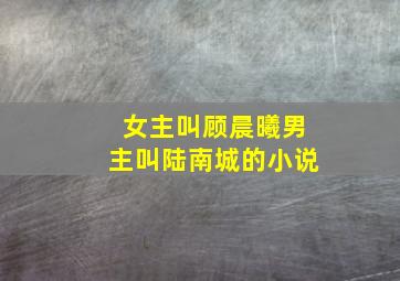 女主叫顾晨曦男主叫陆南城的小说