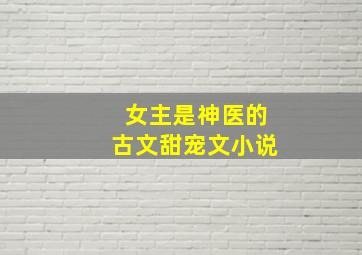 女主是神医的古文甜宠文小说