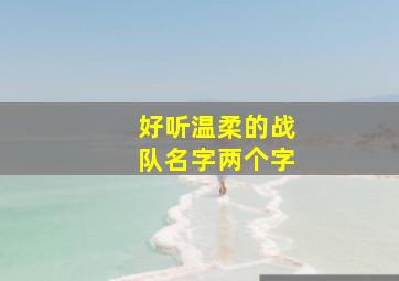 好听温柔的战队名字两个字