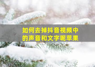 如何去掉抖音视频中的声音和文字呢苹果