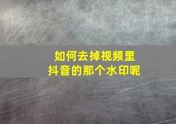 如何去掉视频里抖音的那个水印呢