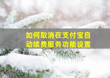 如何取消在支付宝自动续费服务功能设置