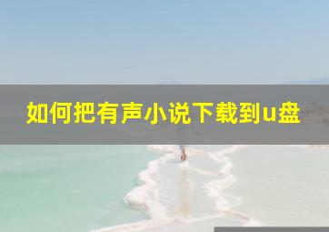 如何把有声小说下载到u盘