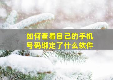 如何查看自己的手机号码绑定了什么软件