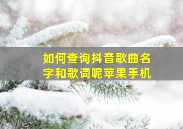 如何查询抖音歌曲名字和歌词呢苹果手机