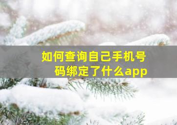 如何查询自己手机号码绑定了什么app