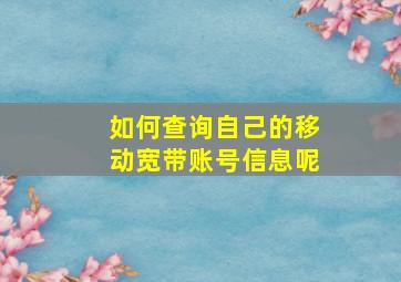 如何查询自己的移动宽带账号信息呢