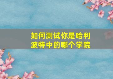 如何测试你是哈利波特中的哪个学院