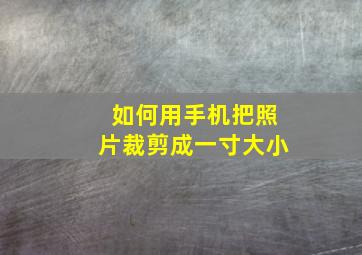 如何用手机把照片裁剪成一寸大小