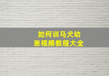 如何训马犬幼崽视频教程大全