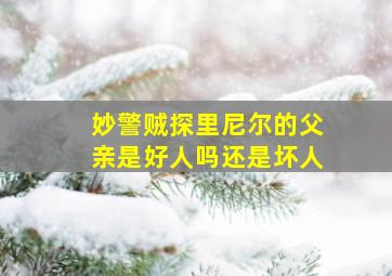 妙警贼探里尼尔的父亲是好人吗还是坏人